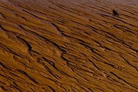 Ebb and Oystercatcher