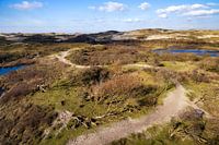 Weg in den Dünen von Egmond