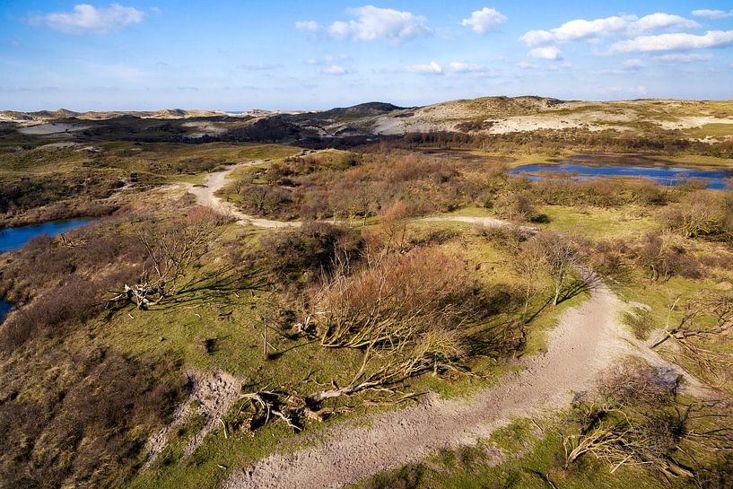 Weg in den Dünen von Egmond von Fotografie Egmond