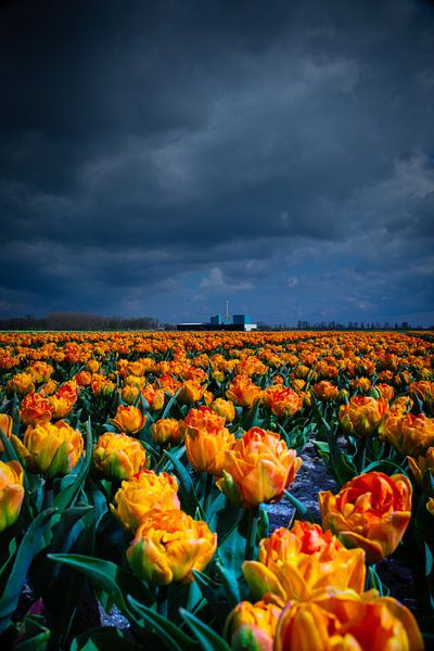 Bedrohliche Wolken von peterheinspictures