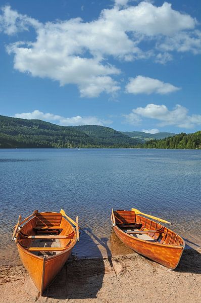 am Titisee im Schwarzwald von Peter Eckert