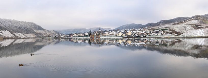 Bruttig-Fankel, Mosel, Rhineland-Pfalz, Deutschland von Alexander Ludwig