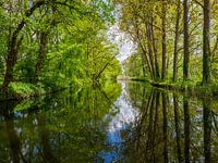 Lindengracht/Kneuterdijk, Vreeland, Netherlands.