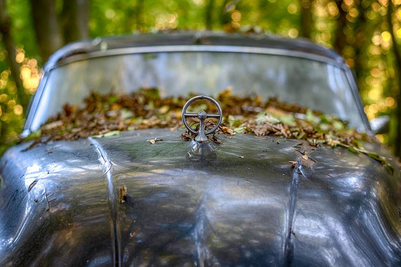 Buick Roadmaster von Brigitte Mulders