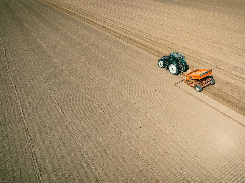 Tractor planting potato seeldings in  the soil during springtim by Sjoerd van der Wal Photography