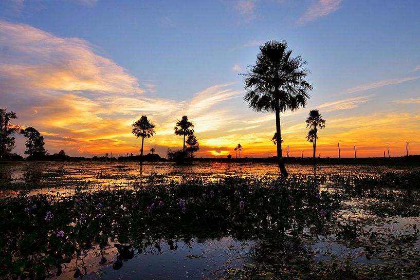 Gefärbter Himmel von Walljar