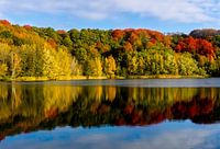 Bunter Herbst auf dem Grebbeberg, Rhenen (Vogelgesang)