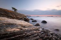 Côte rocheuse suédoise