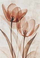 Peinture florale Tulipes | Whispering Tulips