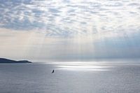 Sun harp with seagull