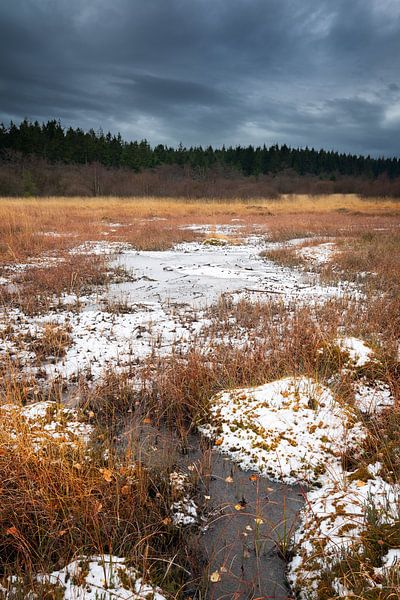 L'hiver arrive par Rob Christiaans