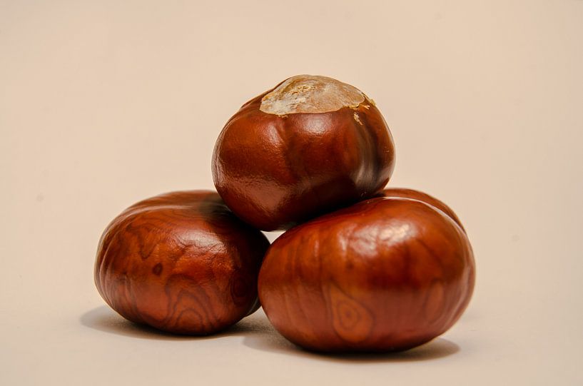 4 wilde kastanjes von Red74 Photography