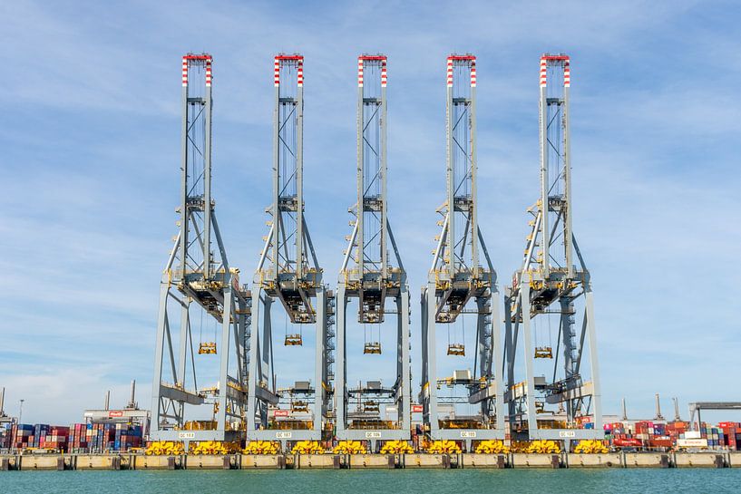Havenkranen in rust op de tweede maasvlakte van Arthur Bruinen