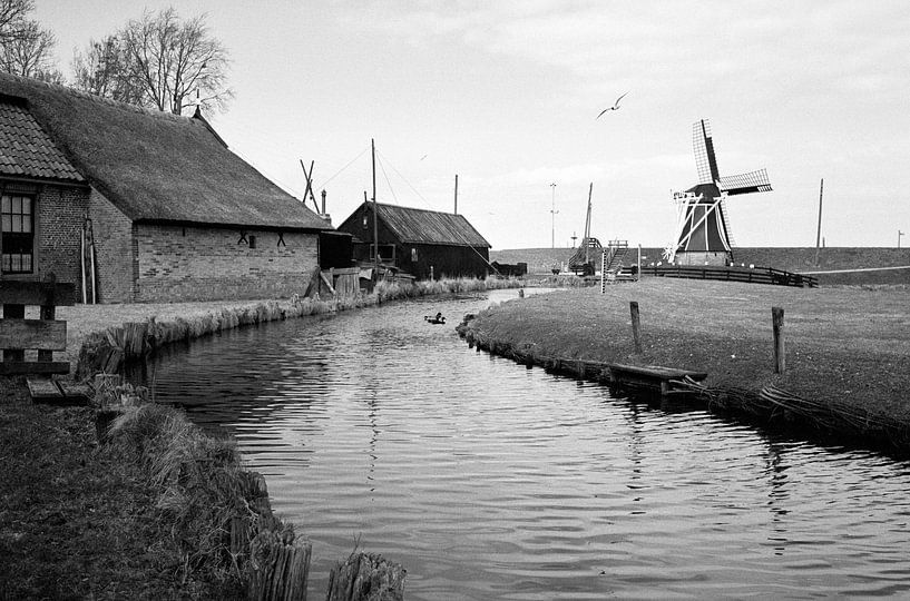 Stilleven par Robin Meester