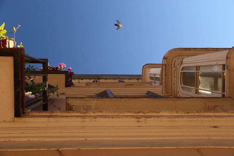 Der Vogel von Cornelis (Cees) Cornelissen