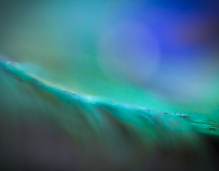 abstrakter Hintergrund - Pfauenfeder von Li-Bro