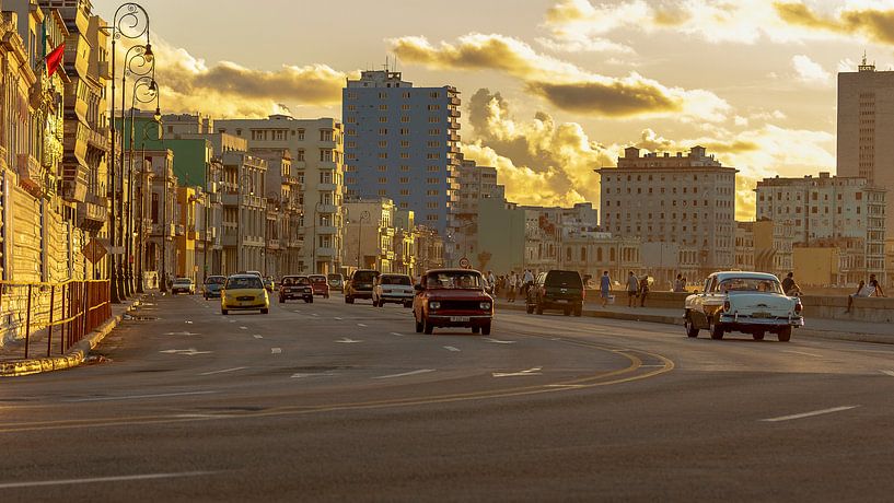 Havana von René Roos
