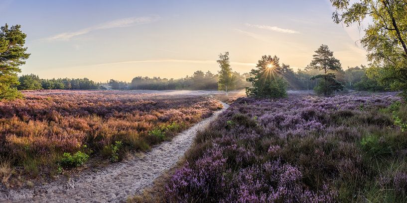 Panorama Galderse Heide Breda by JPWFoto