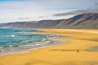 Un paysage de plage étendu