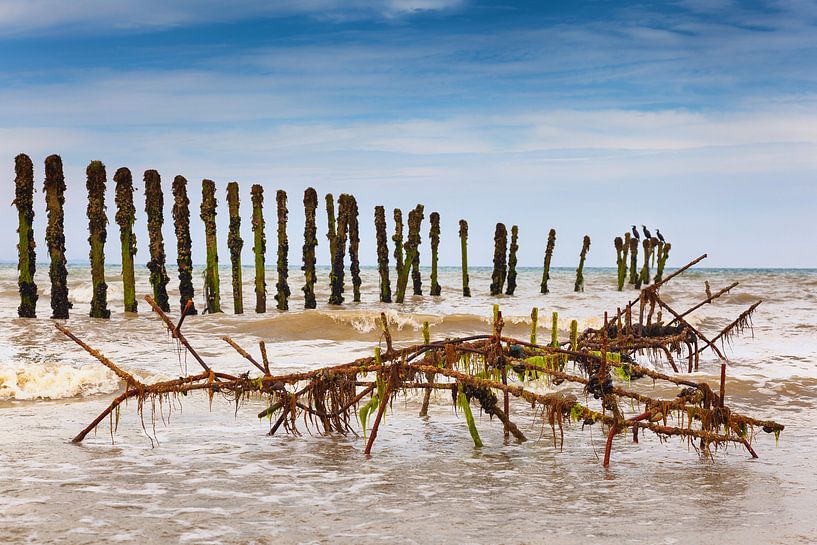 Mussel bank and breakwater with Cormorants in France by Evert Jan Luchies