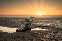 Boje am Strand von Harlingen
