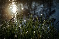 druppels langs de kant