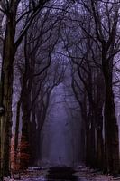 atmosphère obsédante