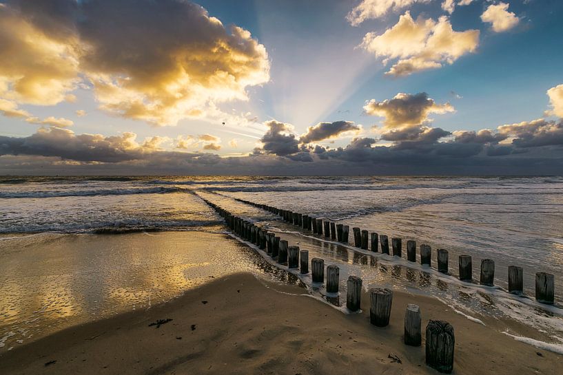 Längstes Jahr von Thom Brouwer