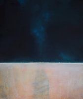 La ligne de marée sur la plage verte 