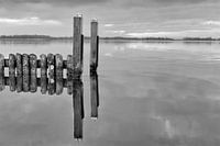 Spiegelbeeld Nieuwkoopse plassen