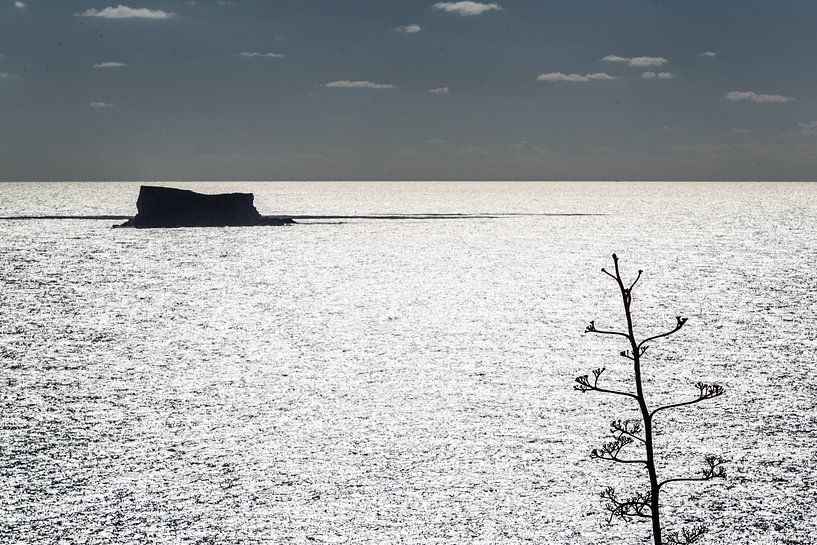 Malta by Eric van Nieuwland