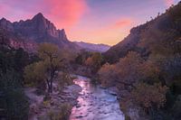 Pont de jonction du canyon