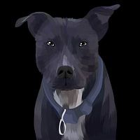 Chien noir effrayant