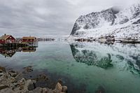 Fjord auf den Lofoten(Norwegen) im Winter