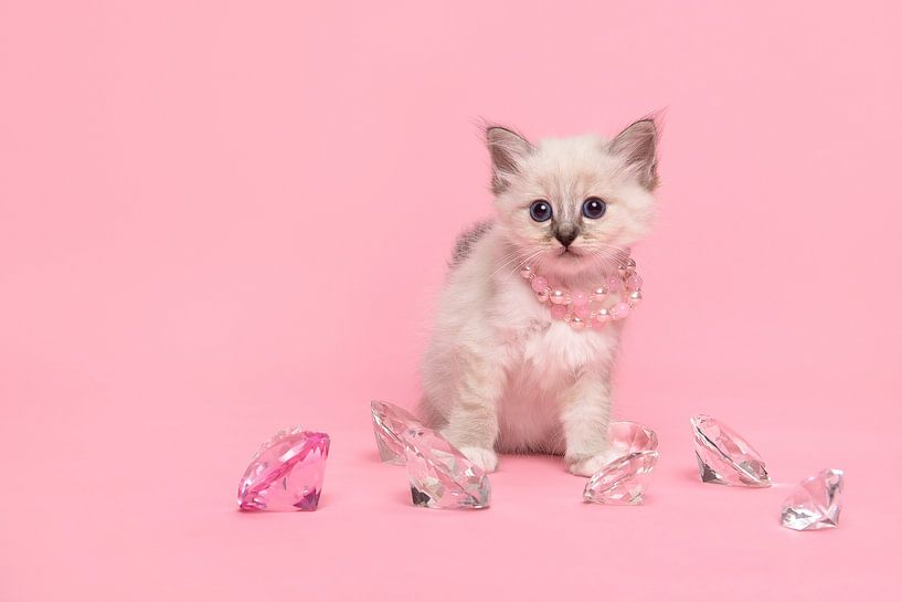 Petite perle par Elles Rijsdijk