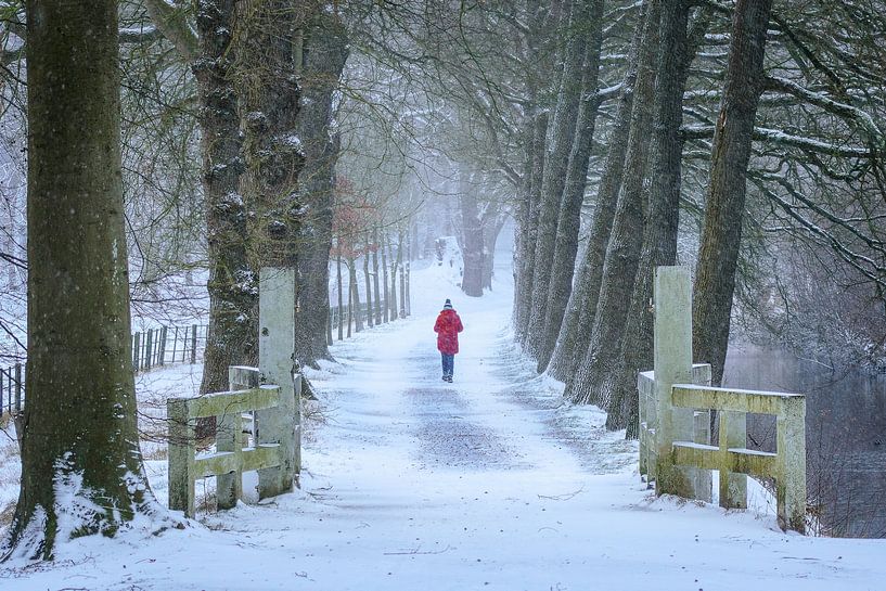Dame en rouge par Arnoud van de Weerd