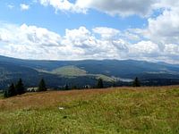 Heuvels in Roemenië 