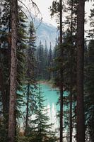 The blue waters of Emerald Lake | travelphotography | Canada