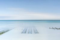 Austernzucht bei steigender Flut