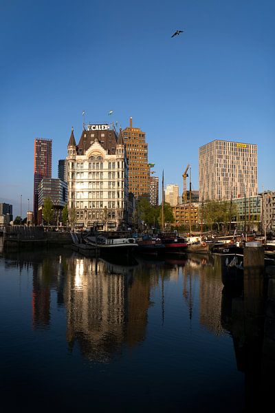 White house in the early morning by Tanja Otten Fotografie