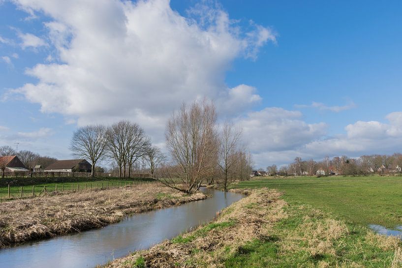 Die Limburger Bleijenbeek zu Beginn des Frühlings von Patrick Verhoef