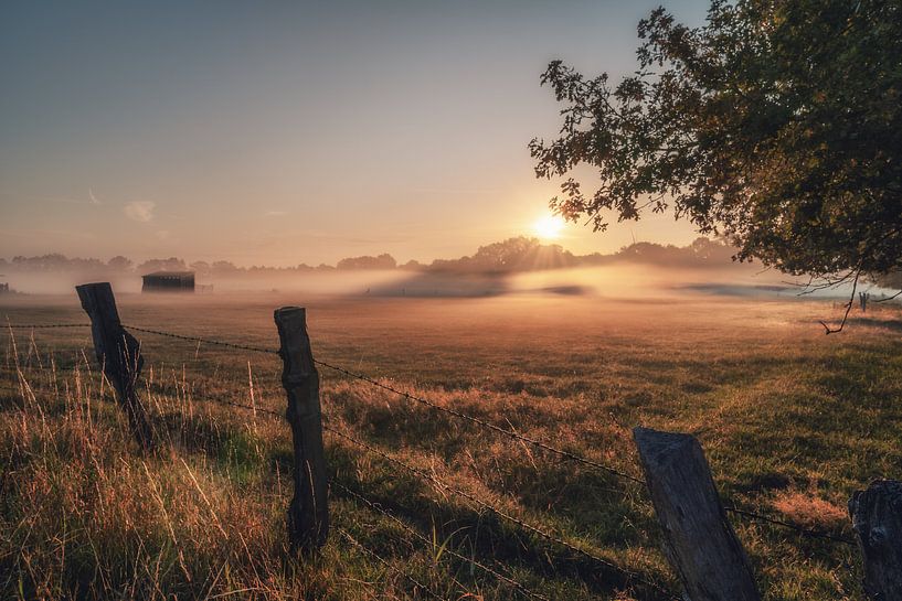Early morning mist in the sewage farm by Steffen Peters