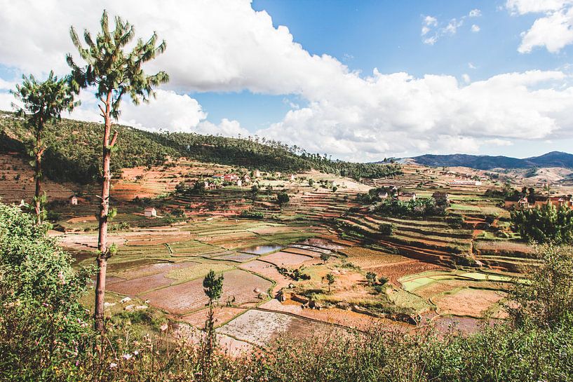 Landschaft mit Reisterrassen in Madagaskar von Expeditie Aardbol