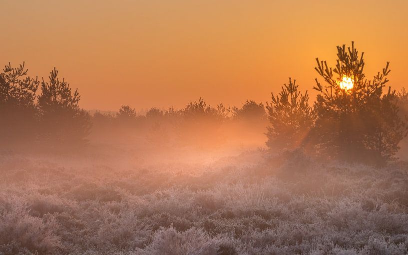 sunrise Aekingerzand Drenthe by Peter Kuipers