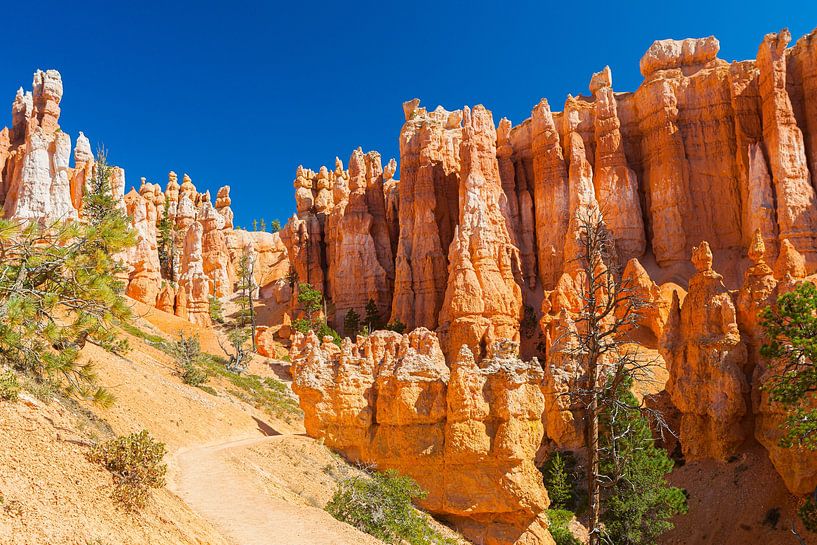 Bryce Canyon National Park by Henk Meijer Photography
