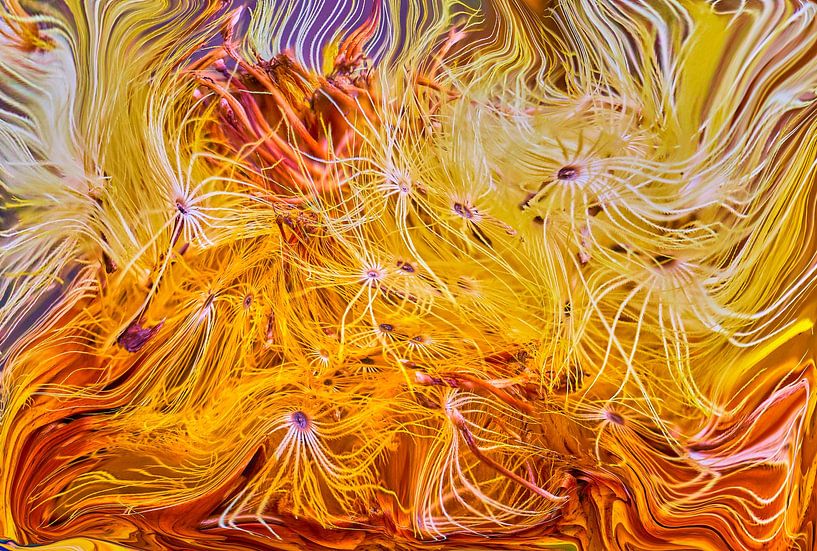 Das geheime Leben der Pflanzen Nr. 5 von Jenco van Zalk