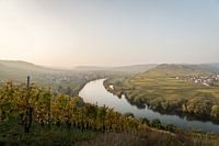 Mosel