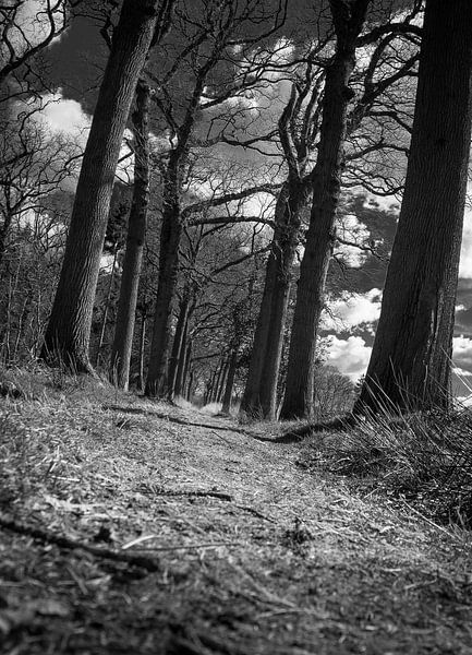 lower path by Evphotosplace