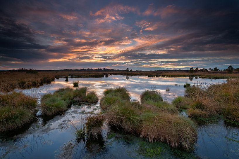 Farbenprächtiger Sonnenuntergang im Hohen Venn. von Rob Christiaans
