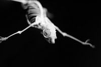 Flying into the weekend.